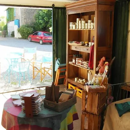 Chambres D'hotes Domaine De Compostelle Casteide-Candau