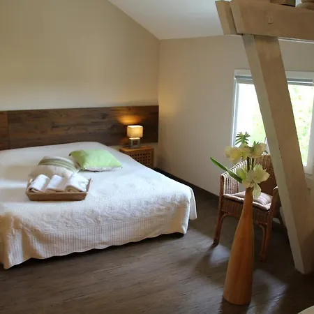 Chambres D'hotes Domaine De Compostelle Casteide-Candau